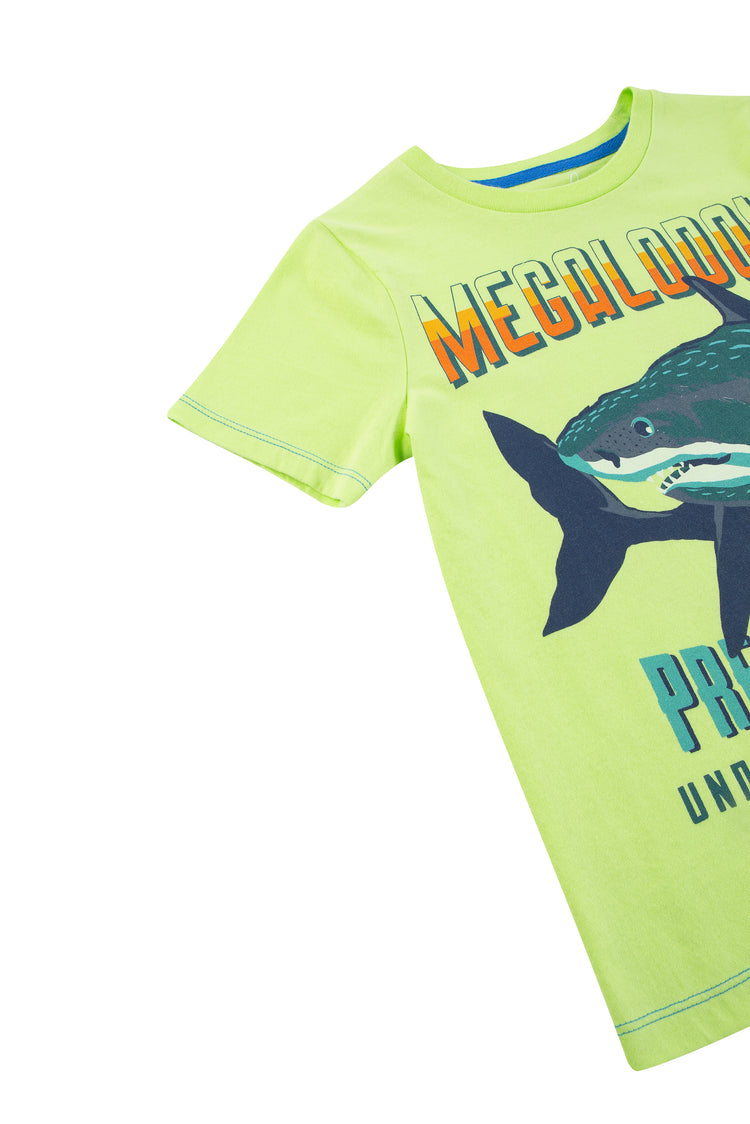 CLOSE UP OF GREEN T-SHIRT WITH SHARK GRAPHIC AND "MEGALODON PREHISTORIC UNDERWATER GIANTS"