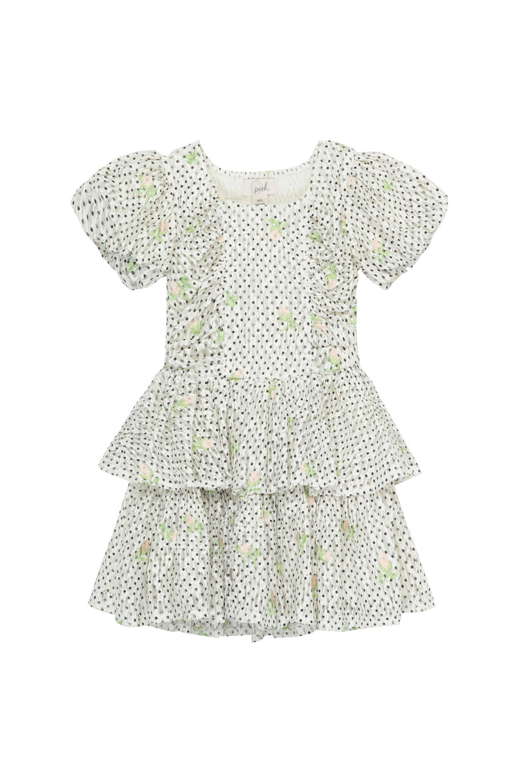 Polka Dot Embroidered Dress