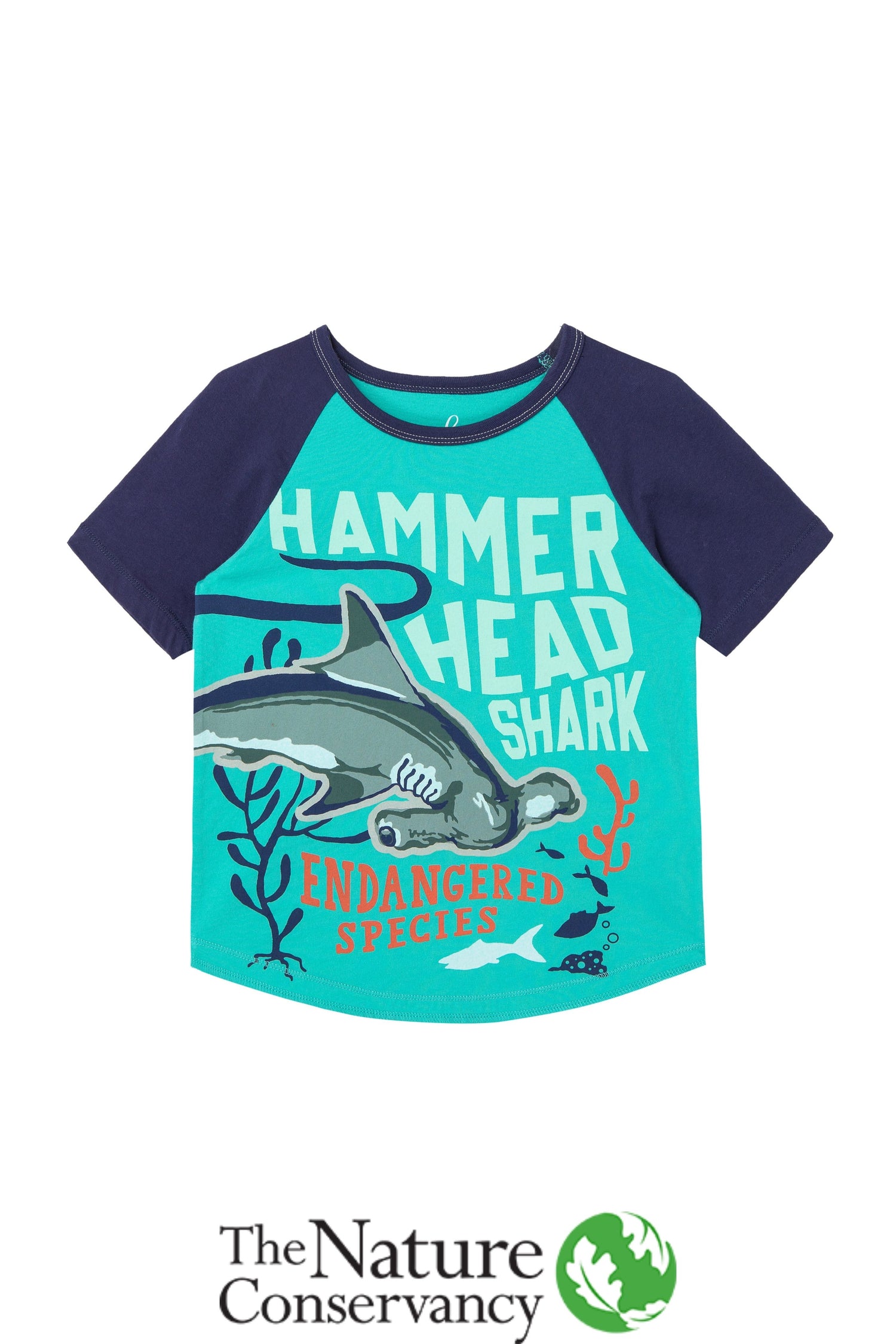 Front view of blue baseball tee style shirt with Hammerhead shark image and wording 