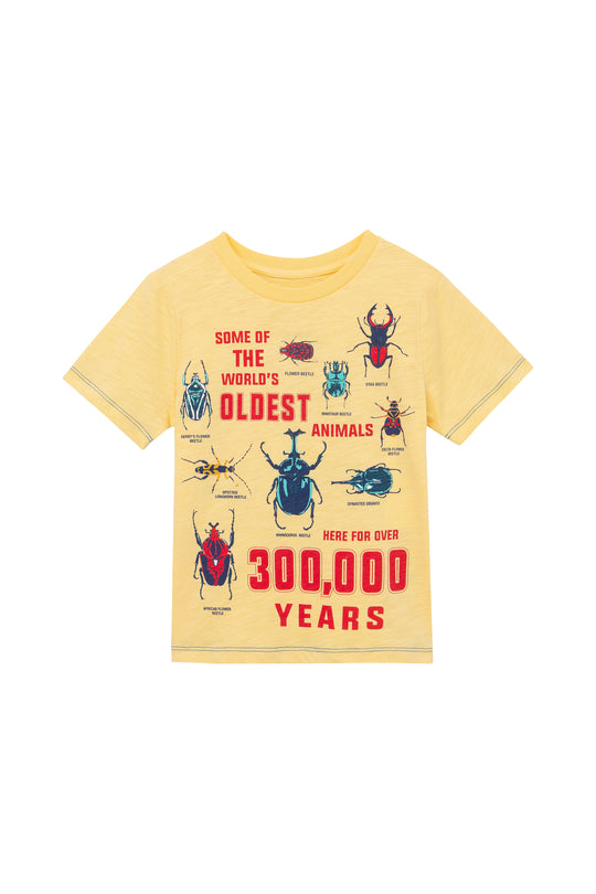 The Life Cycle of a Beetle Tee