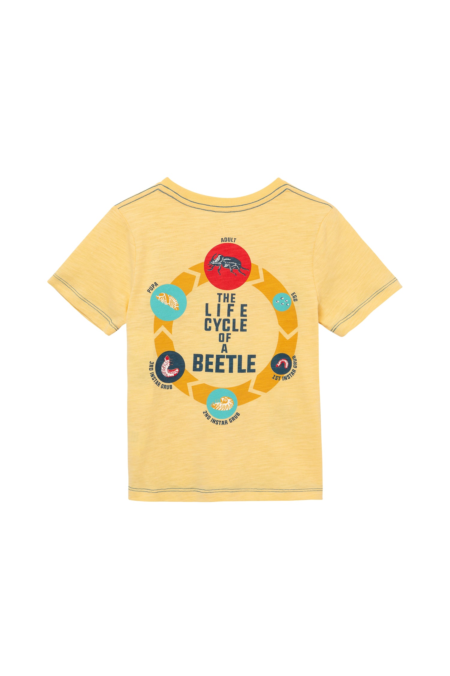 BACK OF YELLOW T-SHIRT WITH THE LIFE CYCLE OF A BEETLE GRAPHICS