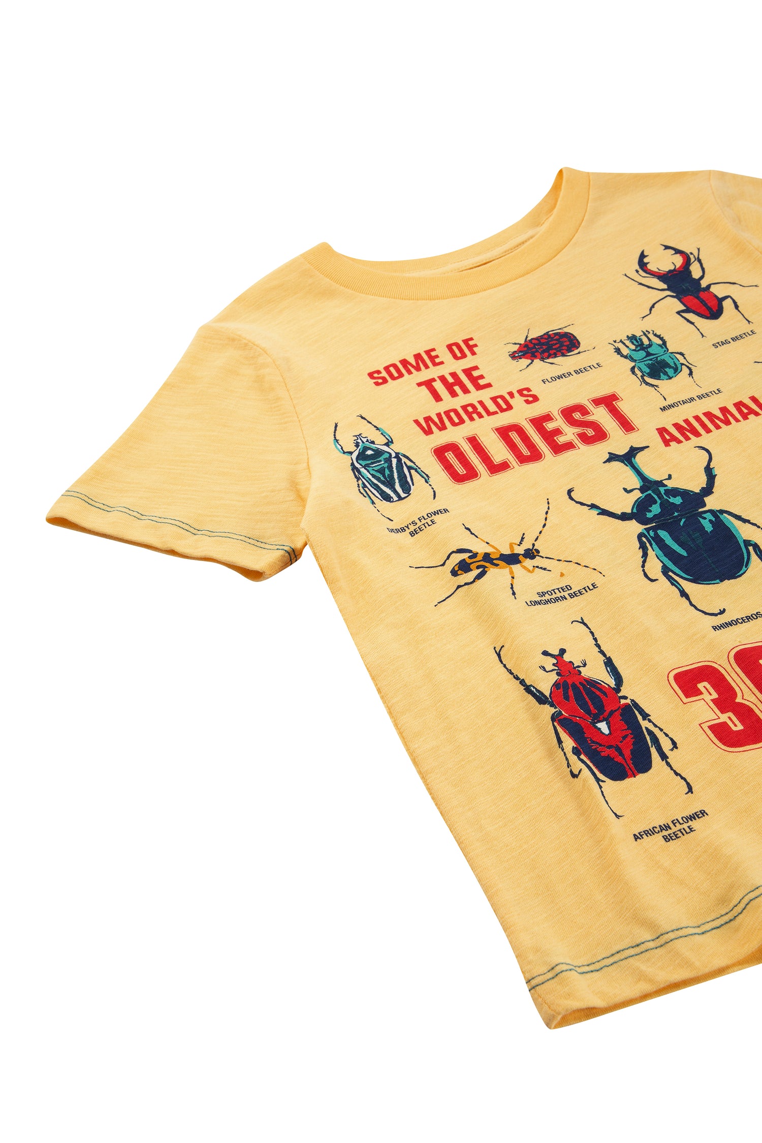 CLOSE UP OF YELLOW T-SHIRT WITH THE LIFE CYCLE OF A BEETLE GRAPHICS