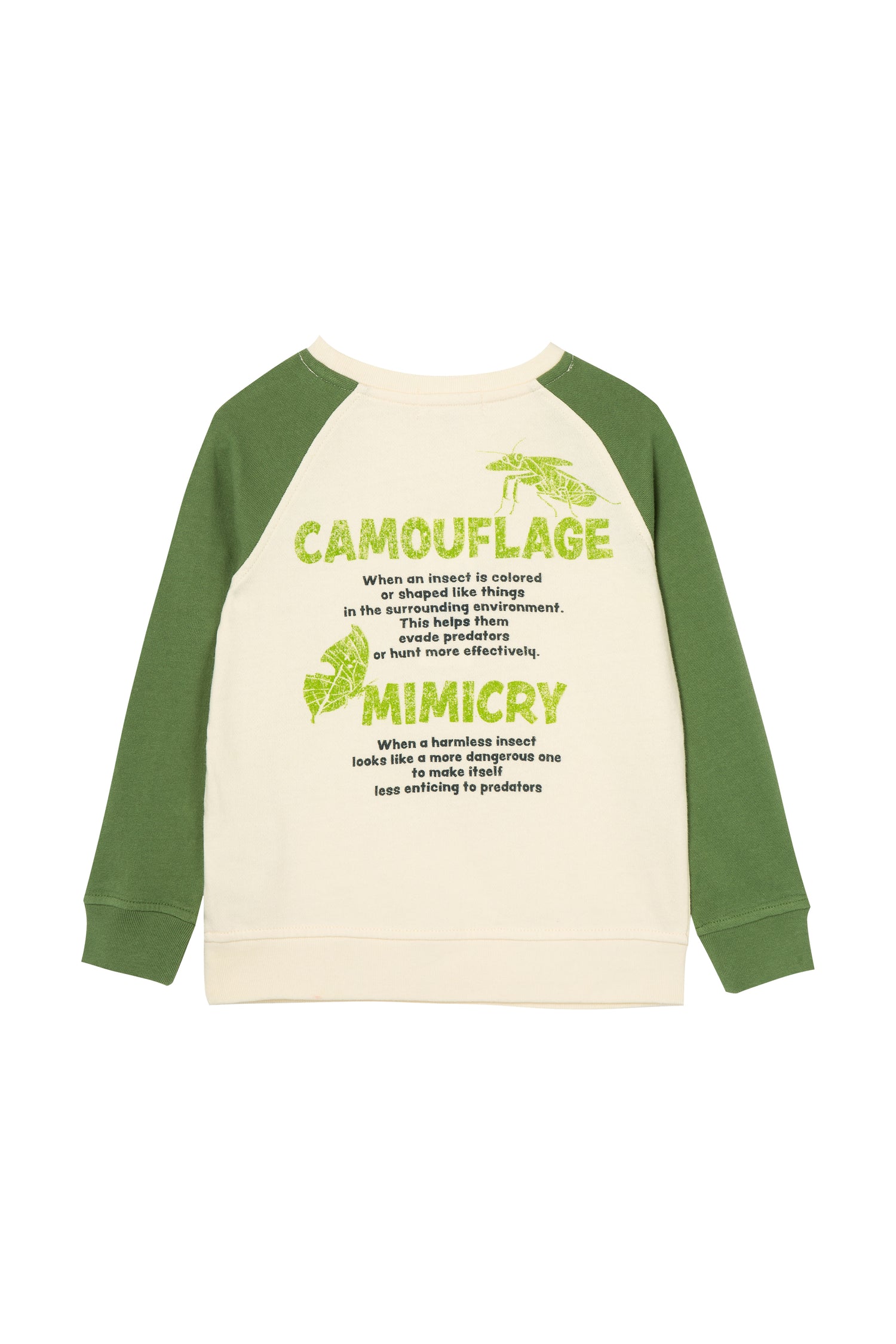 Back of green & white sweatshirt with text explaining camouflage and mimicry