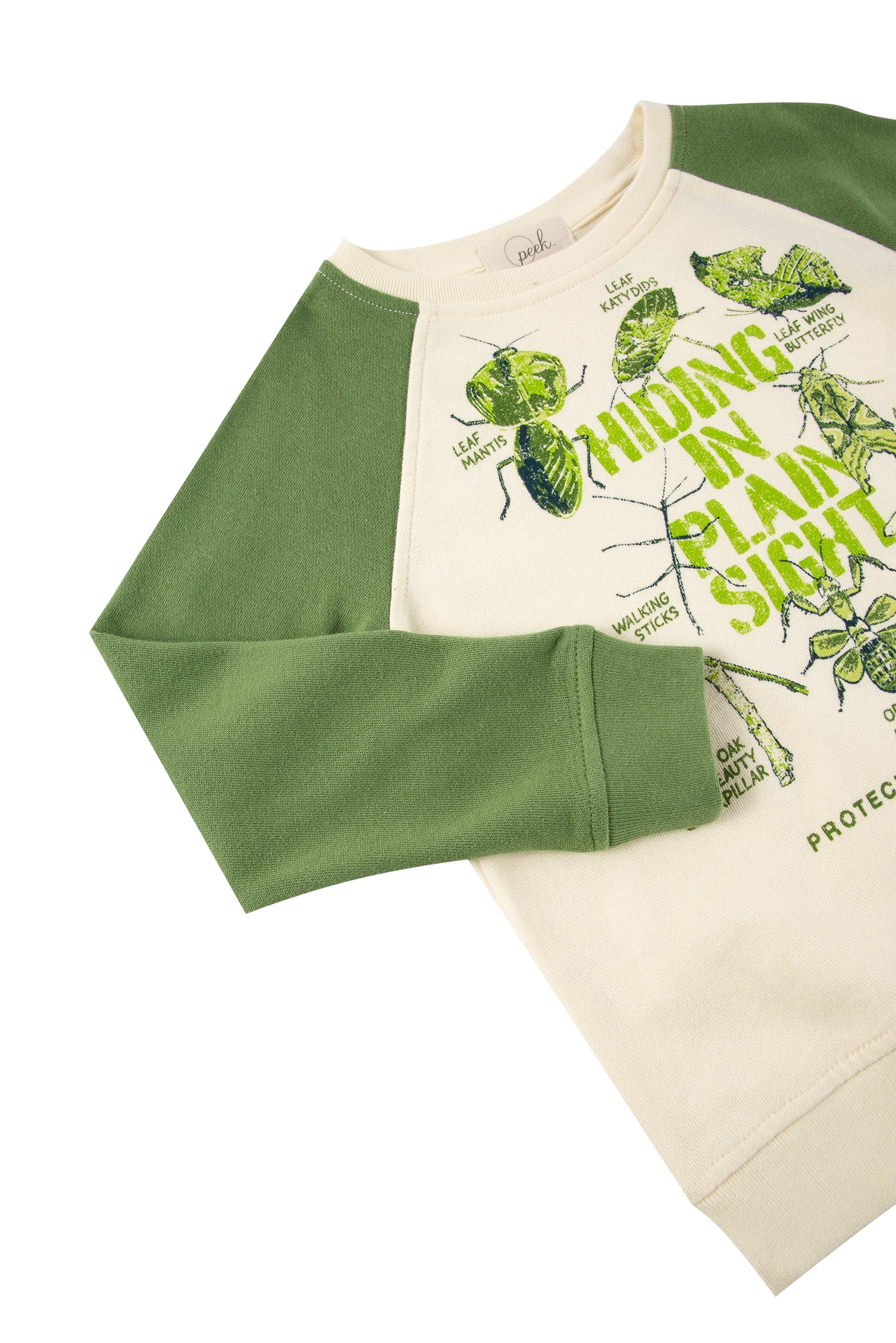 Close up of green and white sweatshirt with illustrations of various green-colored bugs 'hiding in plain sight'