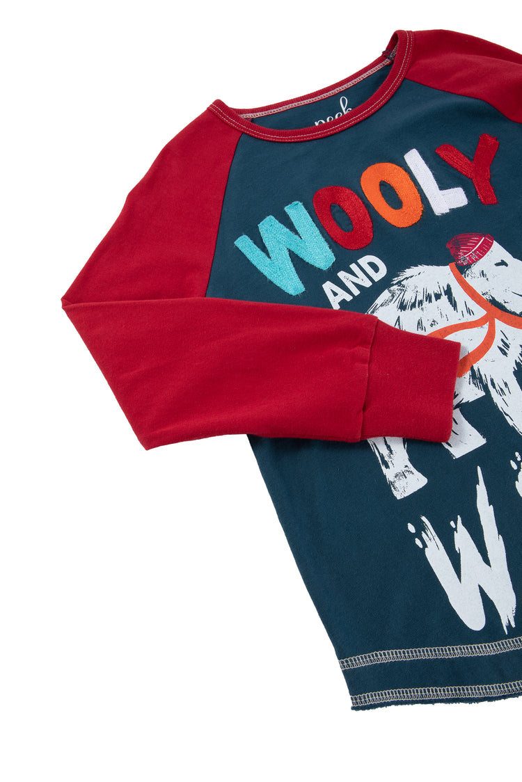 Close up view of navy and red mammoth themed shirt 