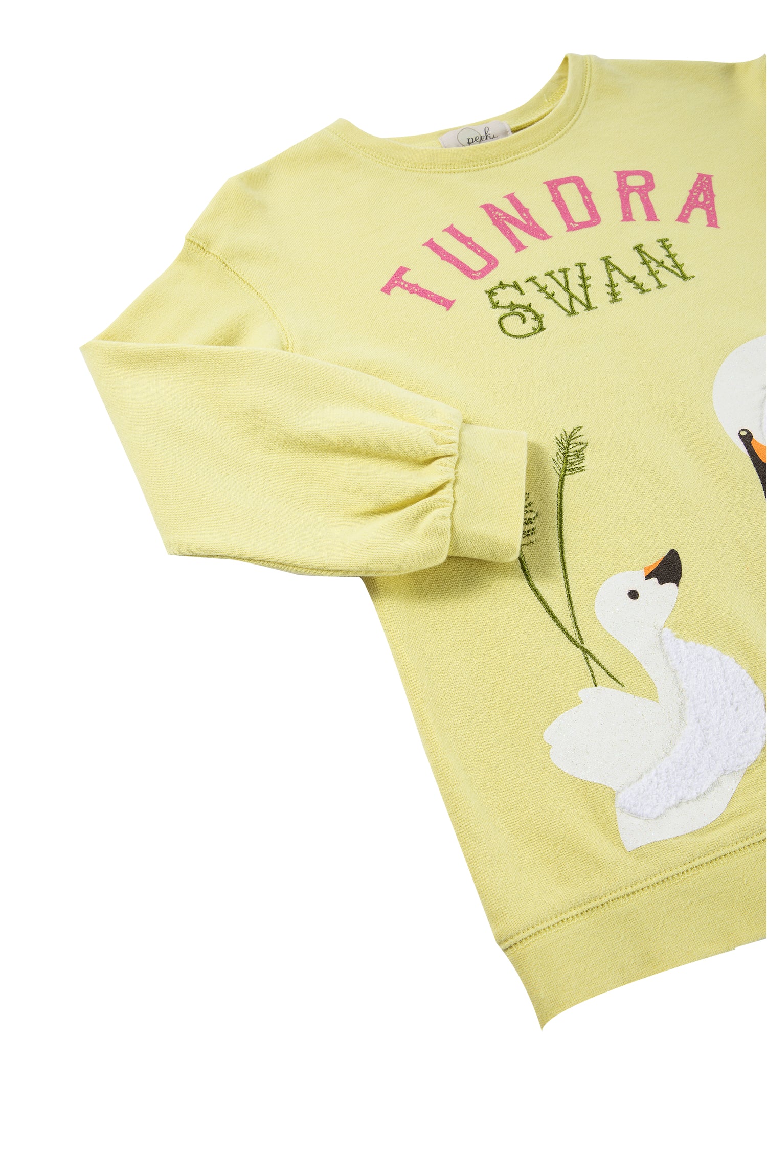 Close up view of green sweatshirt with swans and "Tundra Swan" written