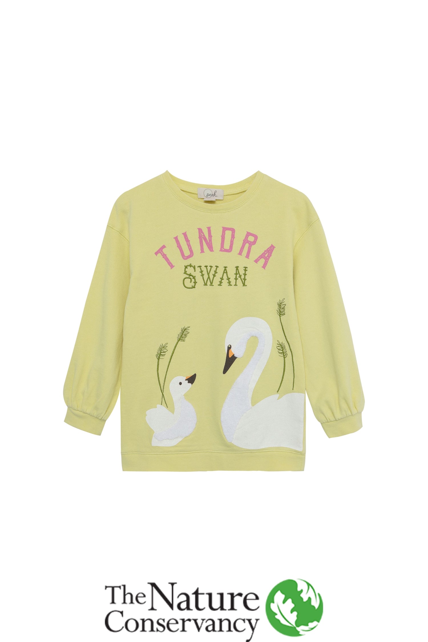 Front view of green sweatshirt with swans and "Tundra Swan" written
