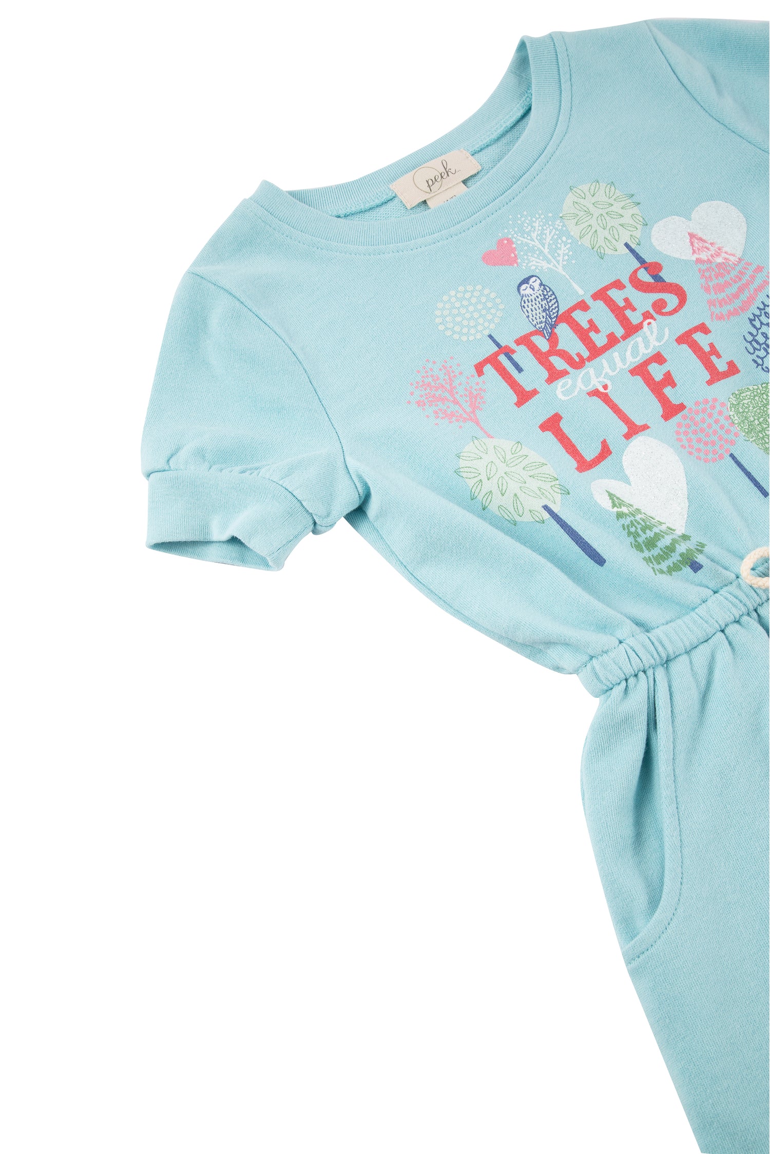 Close up of pocketed baby blue dress with illustrated owl, trees & "trees equal life" text