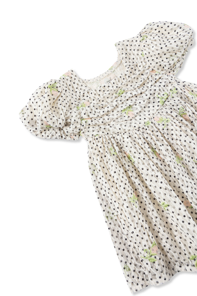 Polka Dot Embroidered Dress