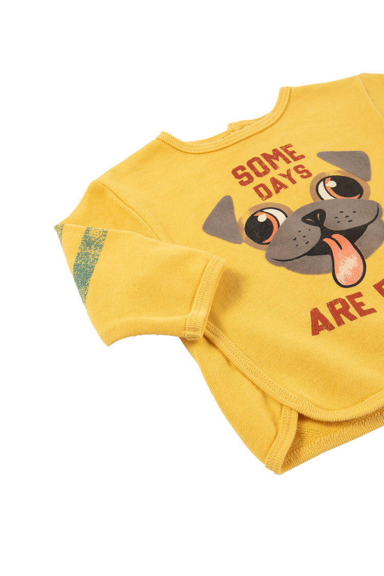 Close up view of yellow and green shirt with "some days are ruff" wording 